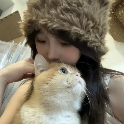 宠物情人